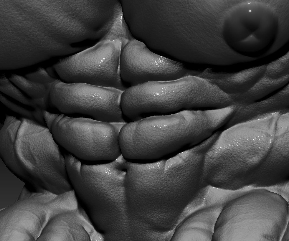 Sculpting abs again~