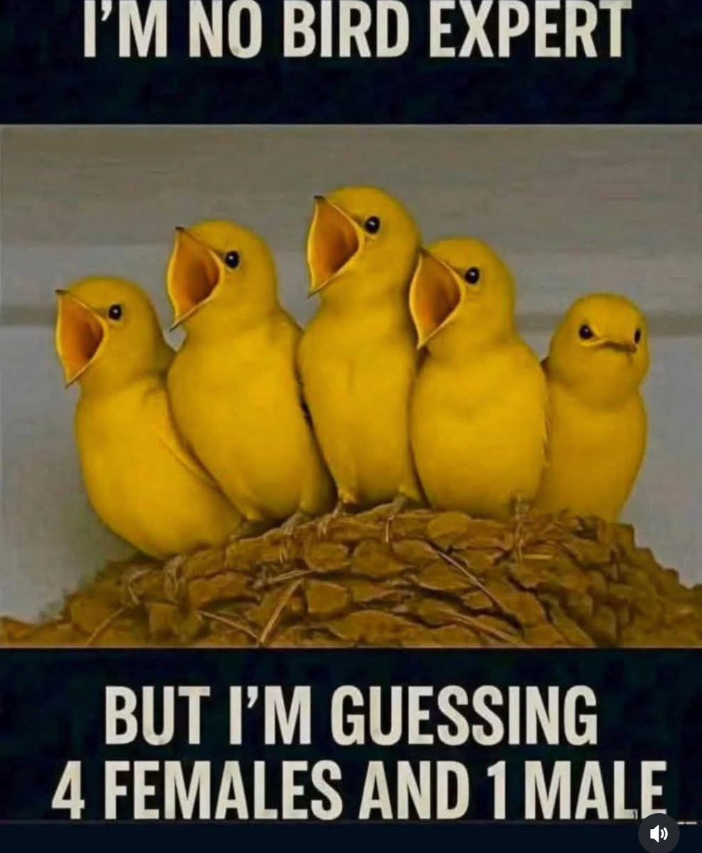 Tweet media one