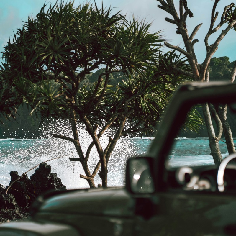 ProntoPark's tweet photo. A place untouched, where the scenery tells their stories and the world feels far away. Where solitude and peace come together. A place you’ll miss, but find comfort in knowing it’s always waiting to be rediscovered.
