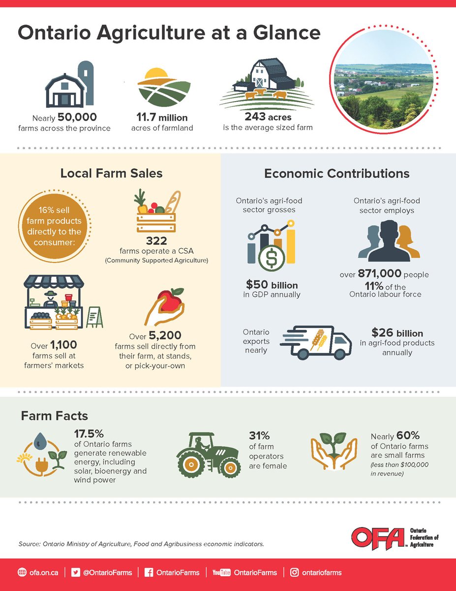 OntarioFarms's tweet photo. Not only is #ontag's bounty delicious, it’s a powerhouse for ON’s economy! From field to fork, our agri-food sector generates $50 billion in GDP each year & produces 200+ commodities that help feed our province, 🇨🇦, & 🌍. As we celebrate #LocalFoodWeek (June 2–8), stay tuned — we’ll be sharing fun facts about the incredible diversity of ON’s agriculture & the commodities that keep our plates full. #ThanksONFarmers #LoveONFood #SourceLocal #SupportLocal