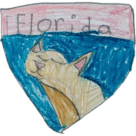 Kiddokillzz's tweet photo. @FlaPanthers 100% https://t.co/2pmPbqRKHL