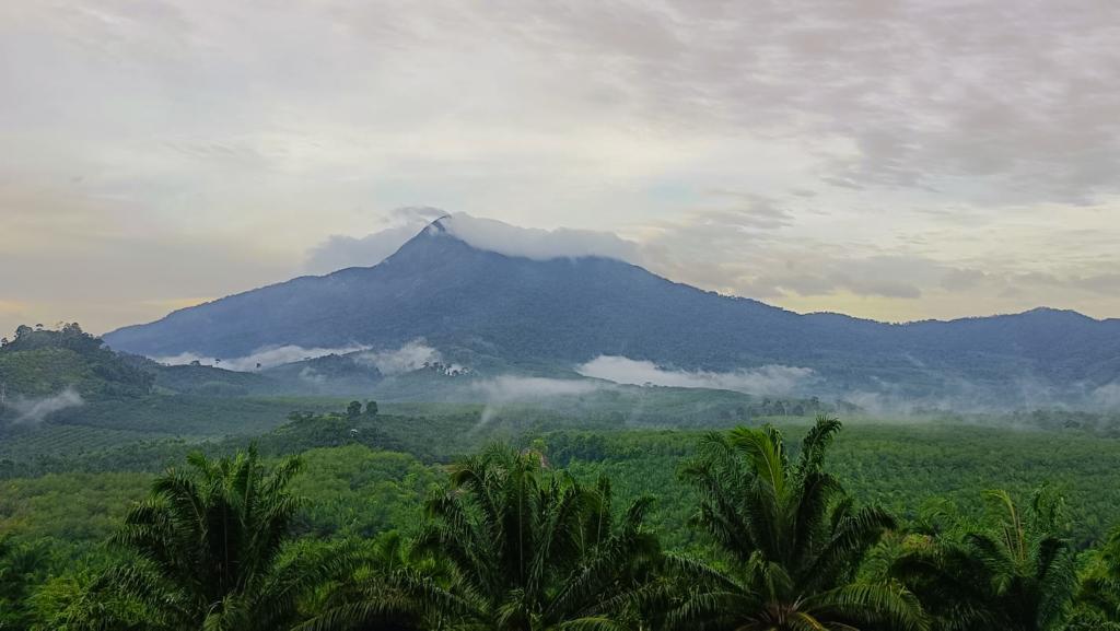 03/06/68:บรรยากาศยามเช้า เขาพนมเบญจา กระบี่ <a href="/MrVop/">ѴѺҎ</a>