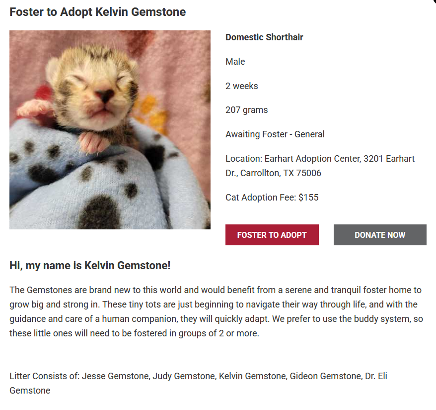 My local shelter has an entire litter of 2 week old kittens that are all named after Righteous Gemstone characters.

This seemed very much share worthy.