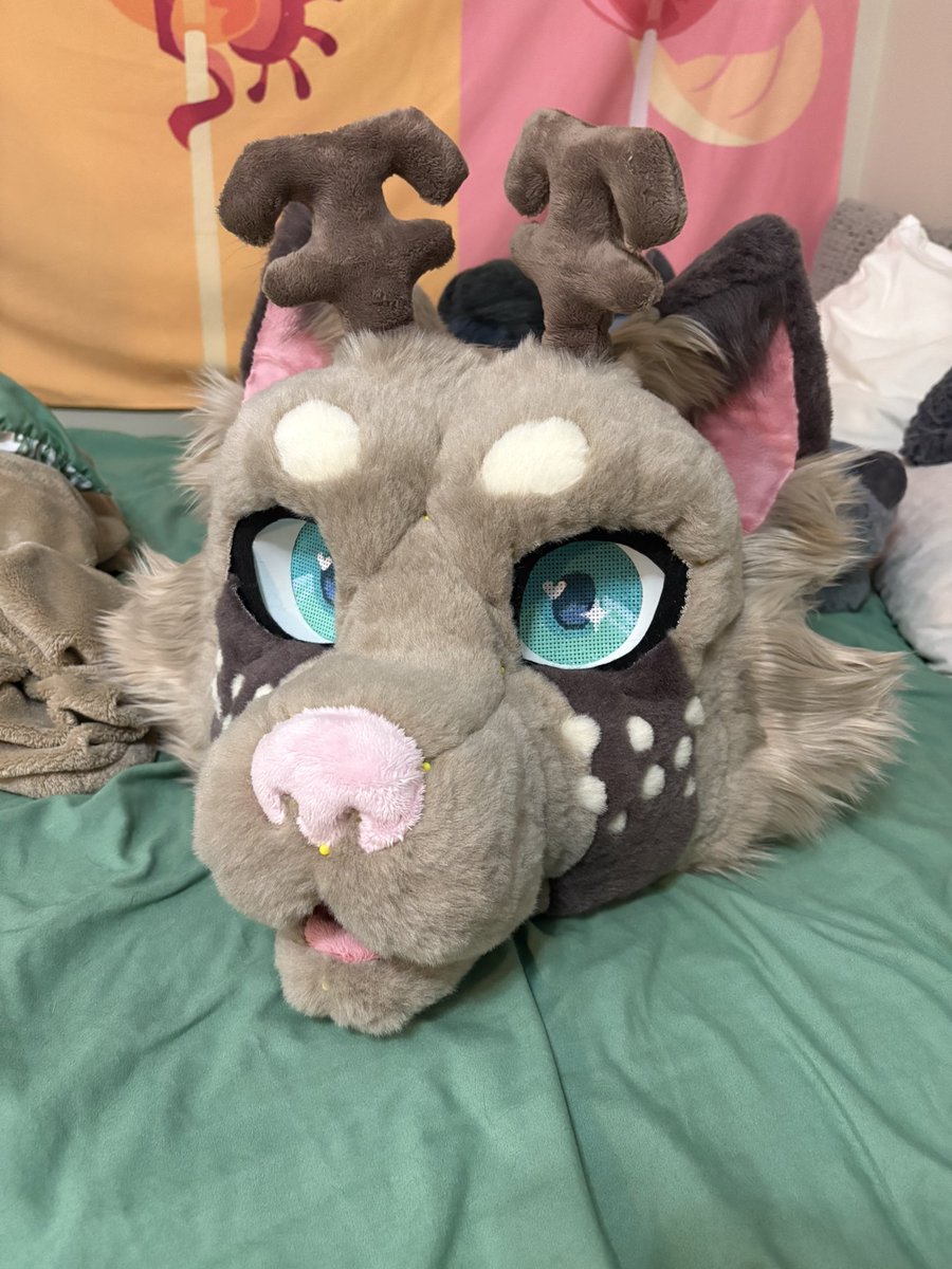 Working on this guy right alongside the raccoon commission! Hoping to finish em up together:) this fella is a deer doggo🐶🦌

#fursuit #fursuits #fursuitmaking #furry #furryfandom #fursuitmaker #fursuitmakers