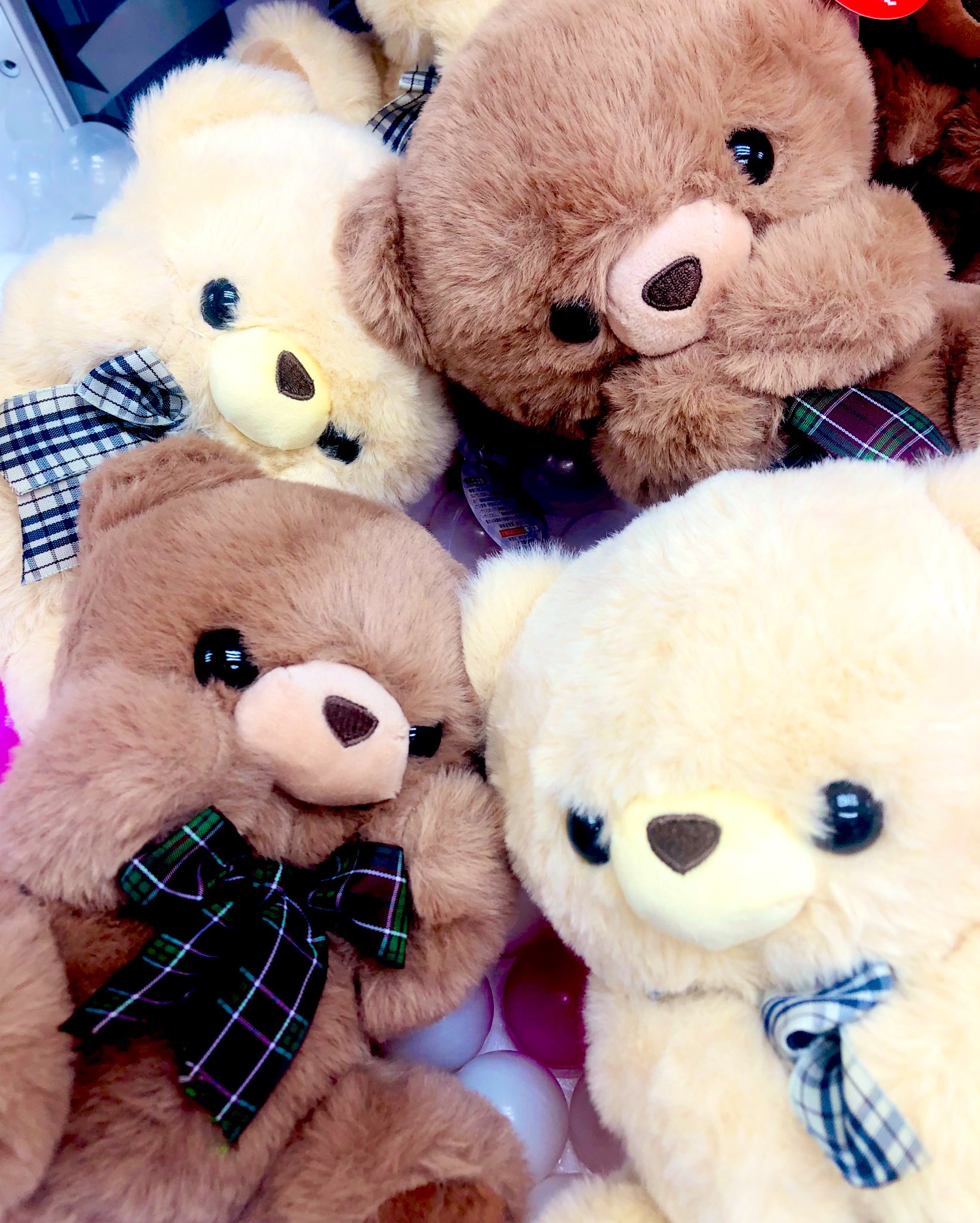 くまのプーさん腕に抱きつく 🧸 ドンキ！ なんかぷーイベントやってるみたい✨😃 約3万円の