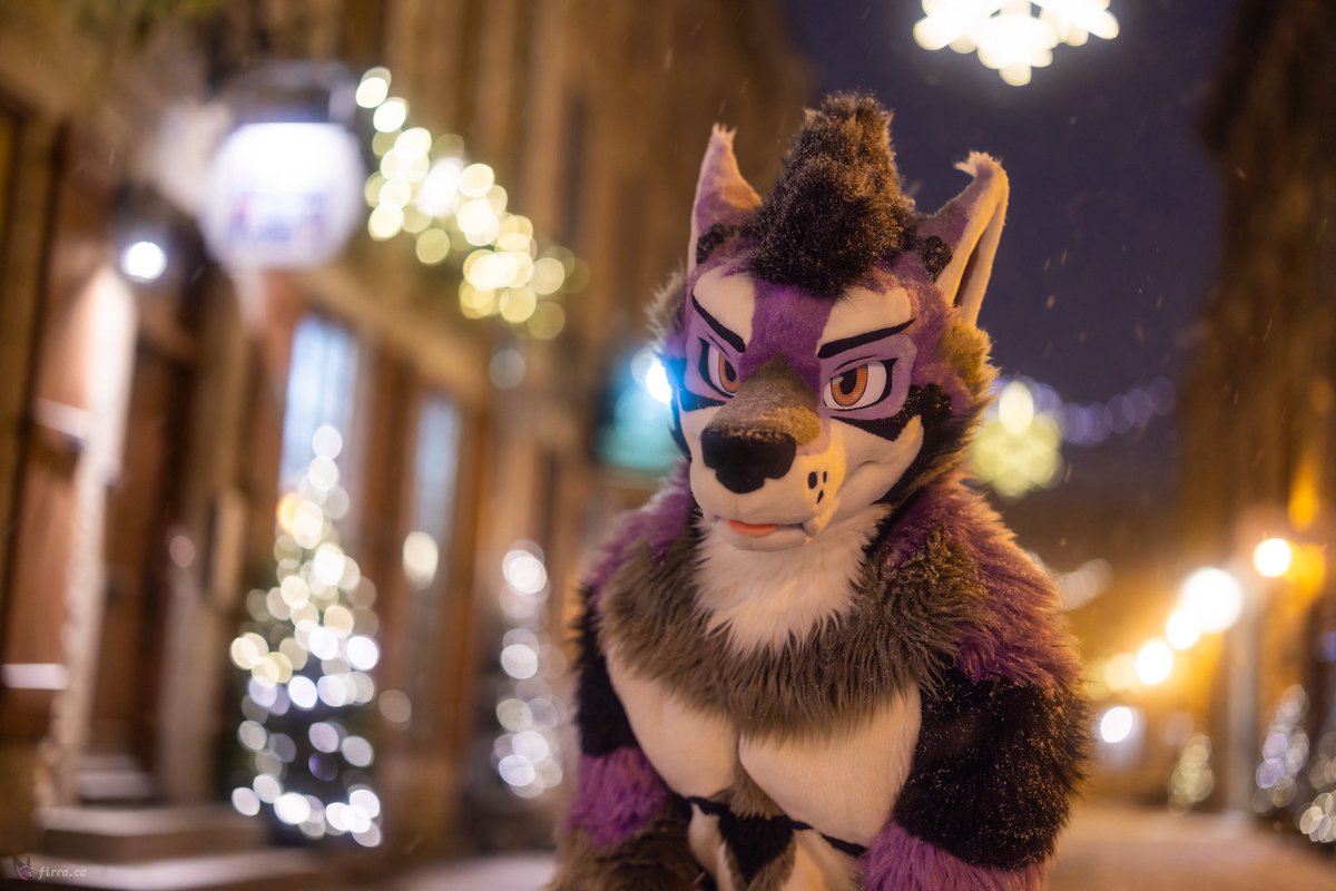 Who’s gonna pet the wolf. Awoo.

📸 <a href="/FirraWoof/">Firra</a>