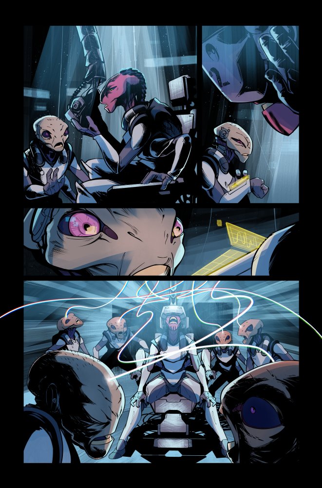 David Stoll tweet media