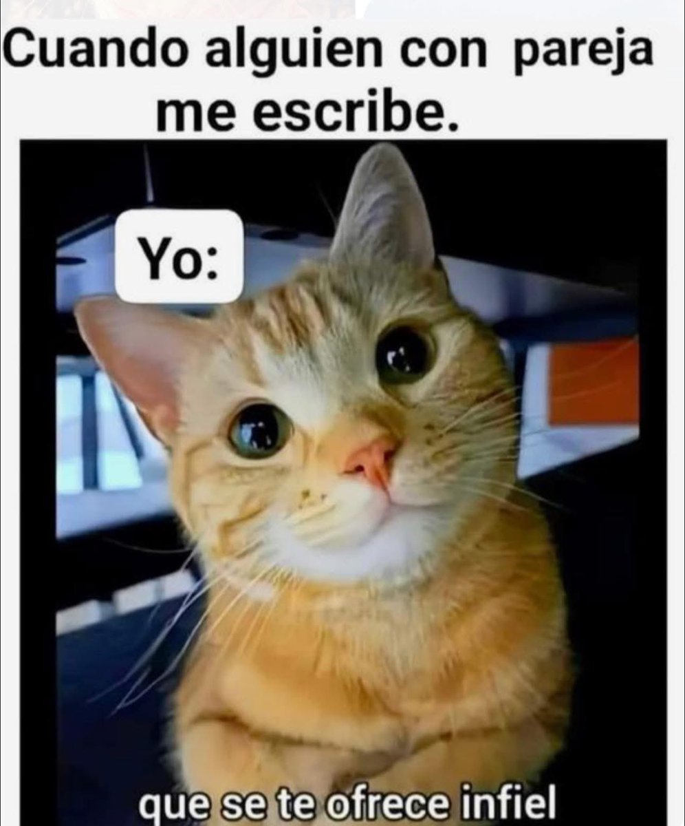 tiny_424's tweet image. 🤣🤣🤣🤣