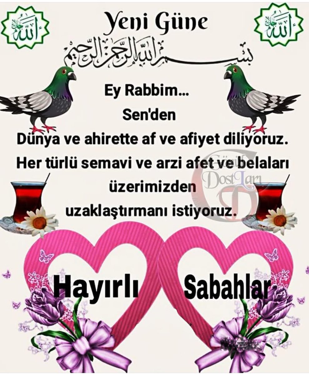 Yüksel Eyüboğlu (@eyuboglu_yuksel) on Twitter photo 