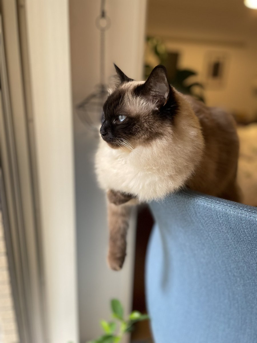 6月3日（火） #クラフトネスト

最高気温21℃予報の #代々木上原 です。
定休日明けの本日も13時〜22時まで営業予定！
お仕事帰りや、用事を済ませた後でも、ゆっくり作業していただけます。

あいにくの天気ではありますが、ご来店お待ちしております♪

⬇️ご予約はこちらから