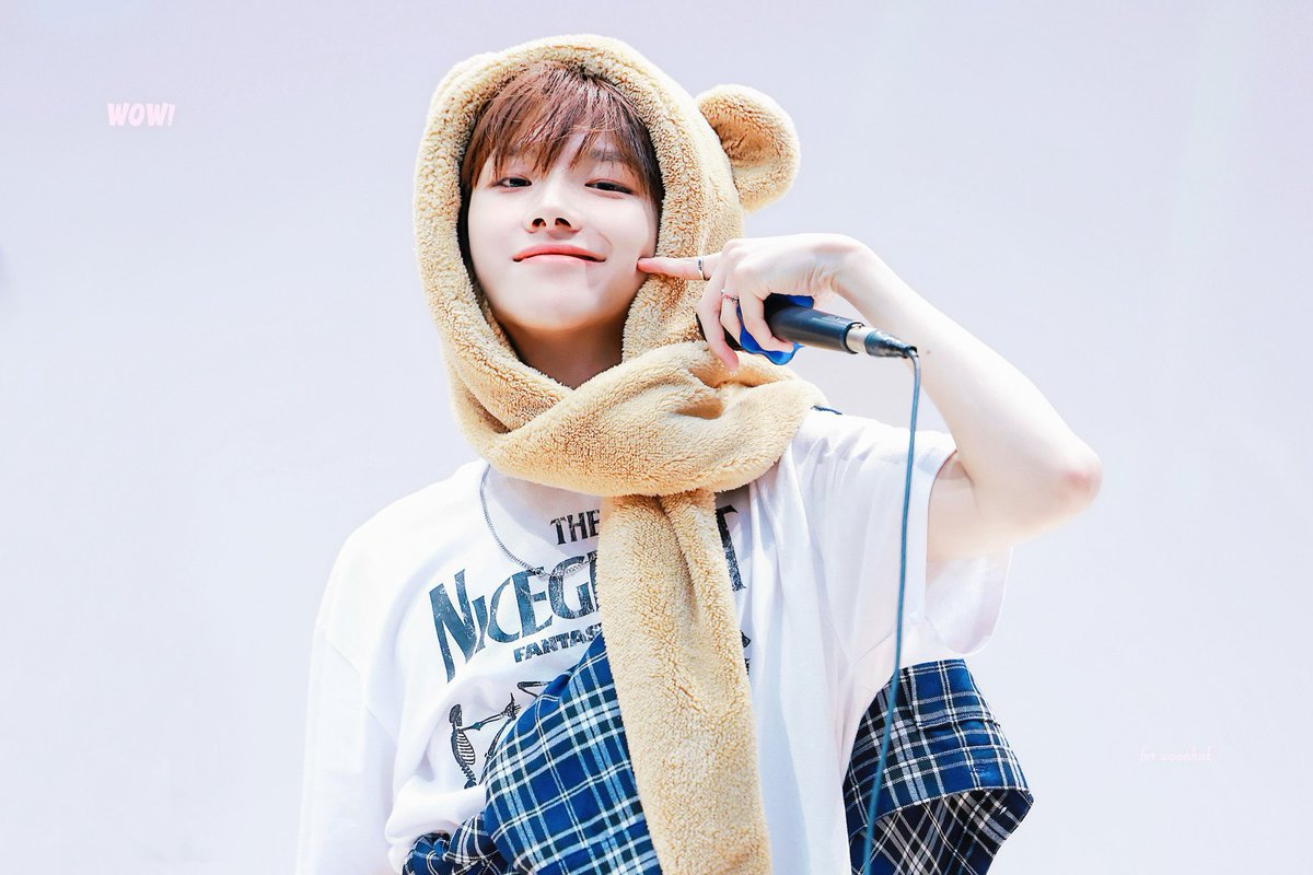 김운학? 곰돌이라 관심있어요
