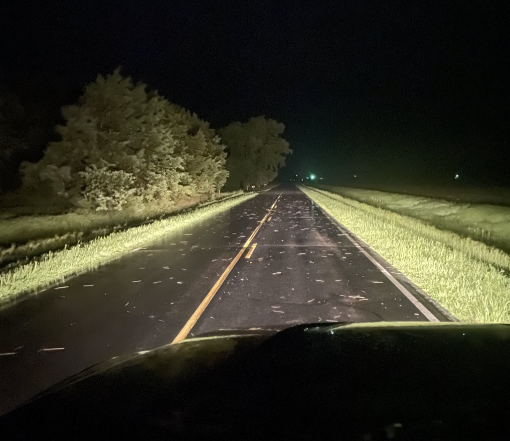 A big rain always brings out the bait. #worms