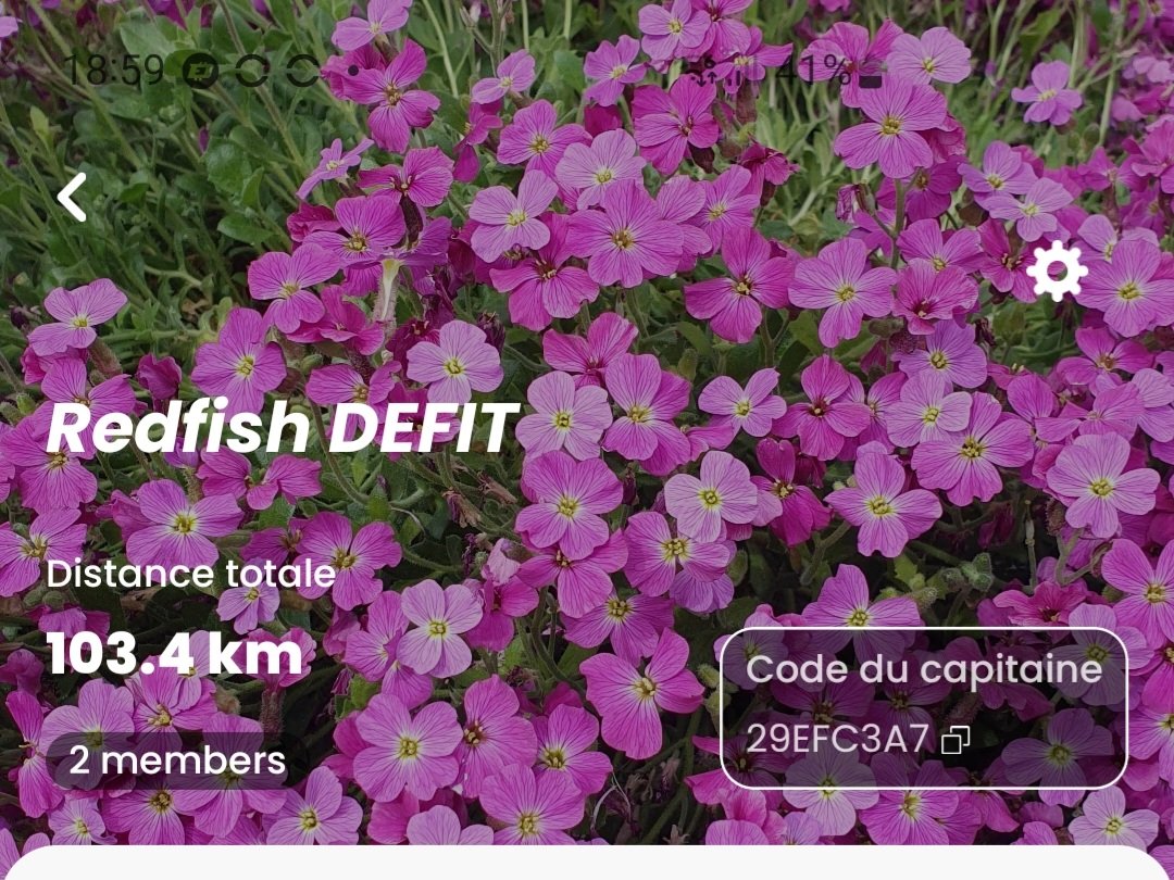 Redfish invest tweet media