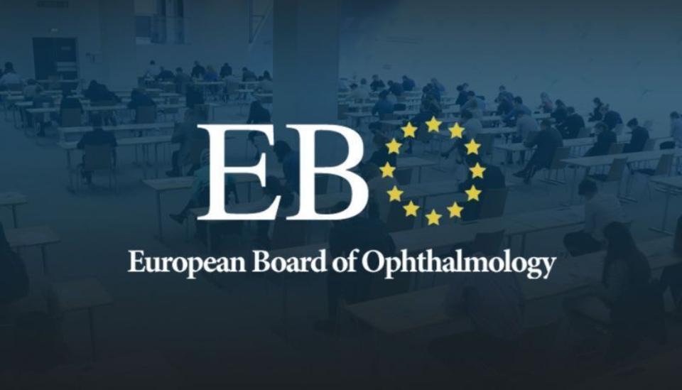 GVAfom's tweet photo. Nos complace felicitar a Elena Arias, residente de 4.º año de la FOM  por haber obtenido la segunda mejor nota a nivel nacional en el examen FEBO (Fellow of the European Board of Ophthalmology). 📷📷 https://t.co/Sw3RwgG0oV