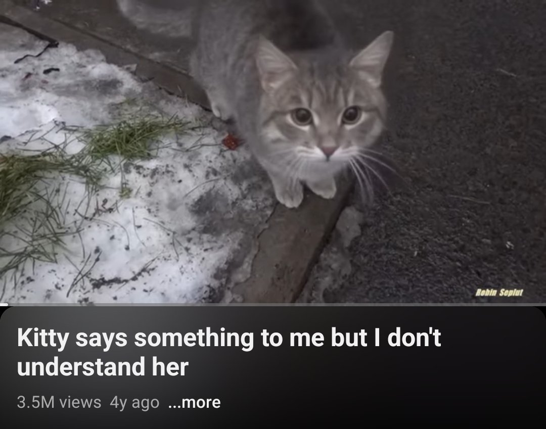 ravitexofficial's tweet photo. when my friends tell me about things i have no interest in https://t.co/PXjvCJy47S