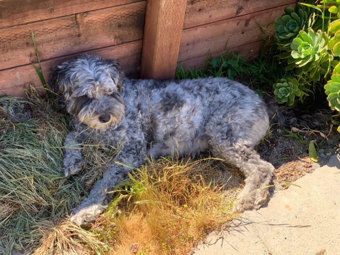 Had some nice weather recently