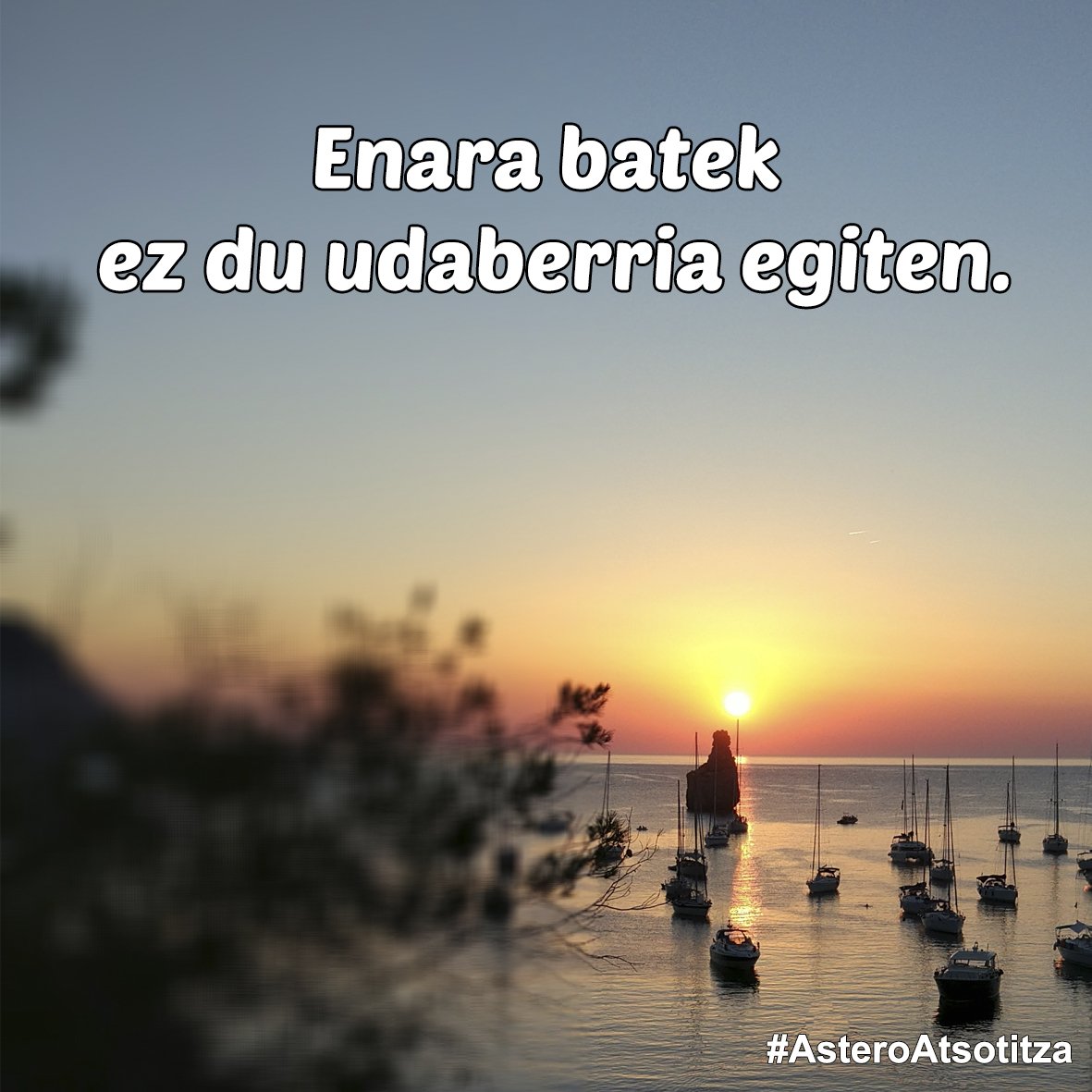 IES_Rekalde_BHI's tweet photo. Enara batek ez du udaberria egiten
#astero #atsotitza @euskalmet @eguraldia #euskara https://t.co/Z9uoB7OrZz