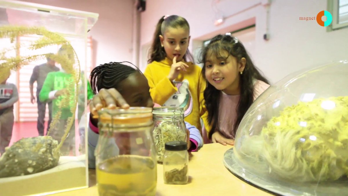 🏫Transformar un centre.
🌟Reduir desigualtats.
👨‍👨‍👦‍👦Recuperar la confiança de les famílies.
#Magnet no és només un programa, és una oportunitat.

📅 Inscripcions fins al 20 de juny

🔗 magnet.cat/oberta-la-nova…

#AliancesMagnet #ÈxitEducatiu