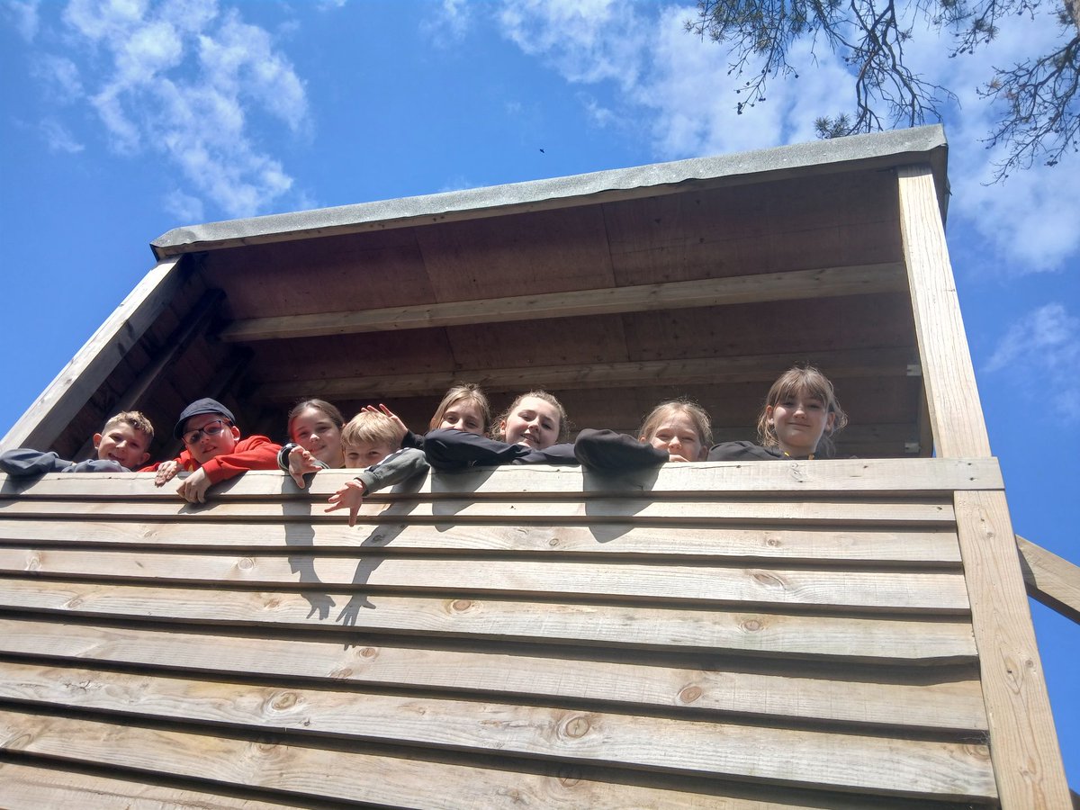 Werrington Pri Sch tweet media