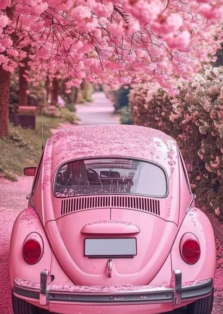 ❥シiamveya (@missveya) on Twitter photo 