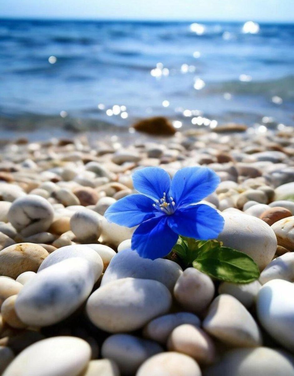 “Good morning friends!”💙