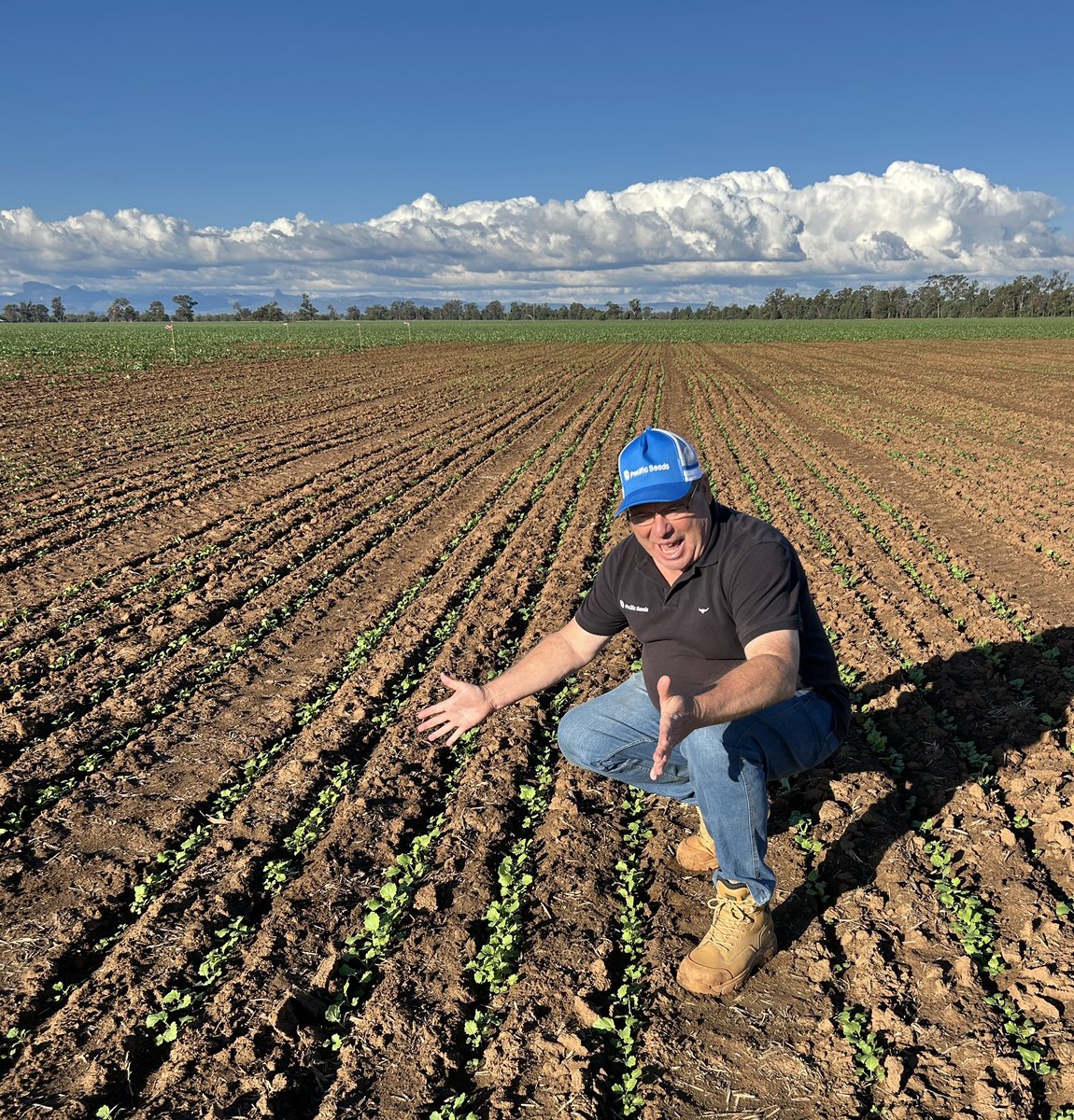 Justin Kudnig (@captaincanola) on Twitter photo 2025 Armatree NSW #Hyola Innovation System Trials managed well by <a href="/AMPSResearch/">AMPS</a> New hybrids of all major technologies being evaluated from around the World !! Great for Aussie Growers 💪 <a href="/AgingAgro/">Andrew Heinrich</a> <a href="/schilgee/">iKarl iSchilg</a> <a href="/PacificSeeds/">Pacific Seeds</a> <a href="/hurgl1/">Tim Wilmshurst</a> <a href="/danrollsroyce/">Dan Rolls</a> <a href="/LiddleCanolaMan/">Willow Liddle</a> <a href="/FotiouMila/">Mila Fotiou</a> 2025 Armatree NSW #Hyola Innovation System Trials managed well by <a href="/AMPSResearch/">AMPS</a> New hybrids of all major technologies being evaluated from around the World !! Great for Aussie Growers 💪 <a href="/AgingAgro/">Andrew Heinrich</a> <a href="/schilgee/">iKarl iSchilg</a> <a href="/PacificSeeds/">Pacific Seeds</a> <a href="/hurgl1/">Tim Wilmshurst</a> <a href="/danrollsroyce/">Dan Rolls</a> <a href="/LiddleCanolaMan/">Willow Liddle</a> <a href="/FotiouMila/">Mila Fotiou</a>