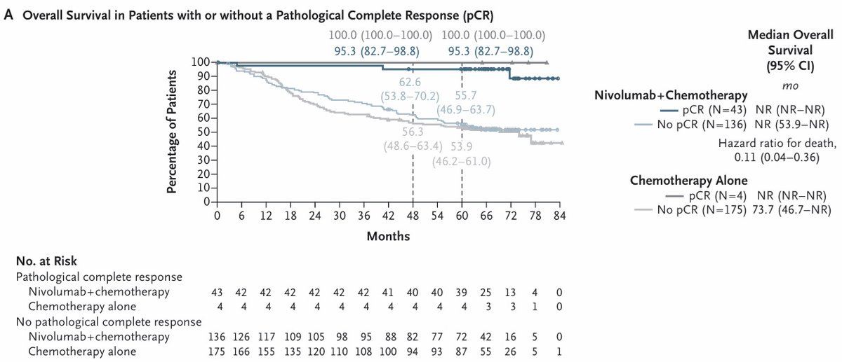 gbanna74's tweet photo. My takeaways from #CheckMate816 update in @NEJM:
1⃣ pCR confirmed as surrogate for OS
2⃣ Supports not offering adjuvant IO if pCR achieved
3⃣ ctDNA clearance still not ready for clinical decision-making
https://t.co/RedoUeeaw3
#LCSM @OncoAlert https://t.co/CWK7yvIXtK