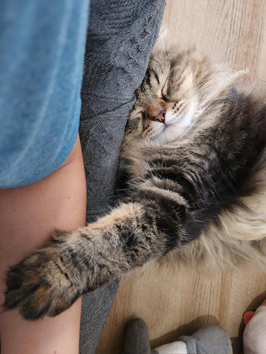 bobok sambil megangin bapak