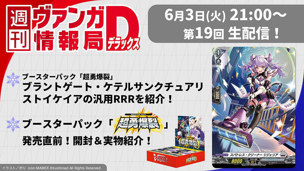 ヴァンガード ケテルサンクチュアリ 4コンの通販 しょーた
