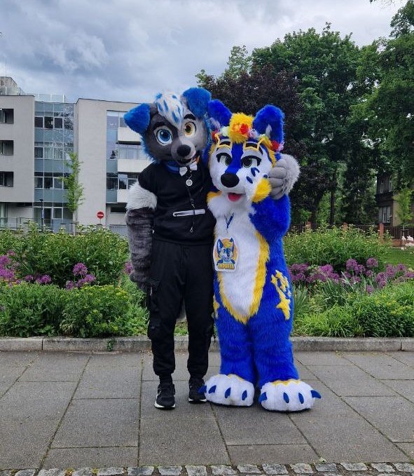 ImprezaTheWolf's tweet photo. Was an absolute joy to meet @mike_wolf_furry recently! 💙💛✨️
📸: Frank Wickets
#furry #furryfandom #furryouting #furries #furryczsk #furrymeetup #furrycommunity #ostrava #Czech #czechrepublic #czechfurry https://t.co/YogKNMU7aN