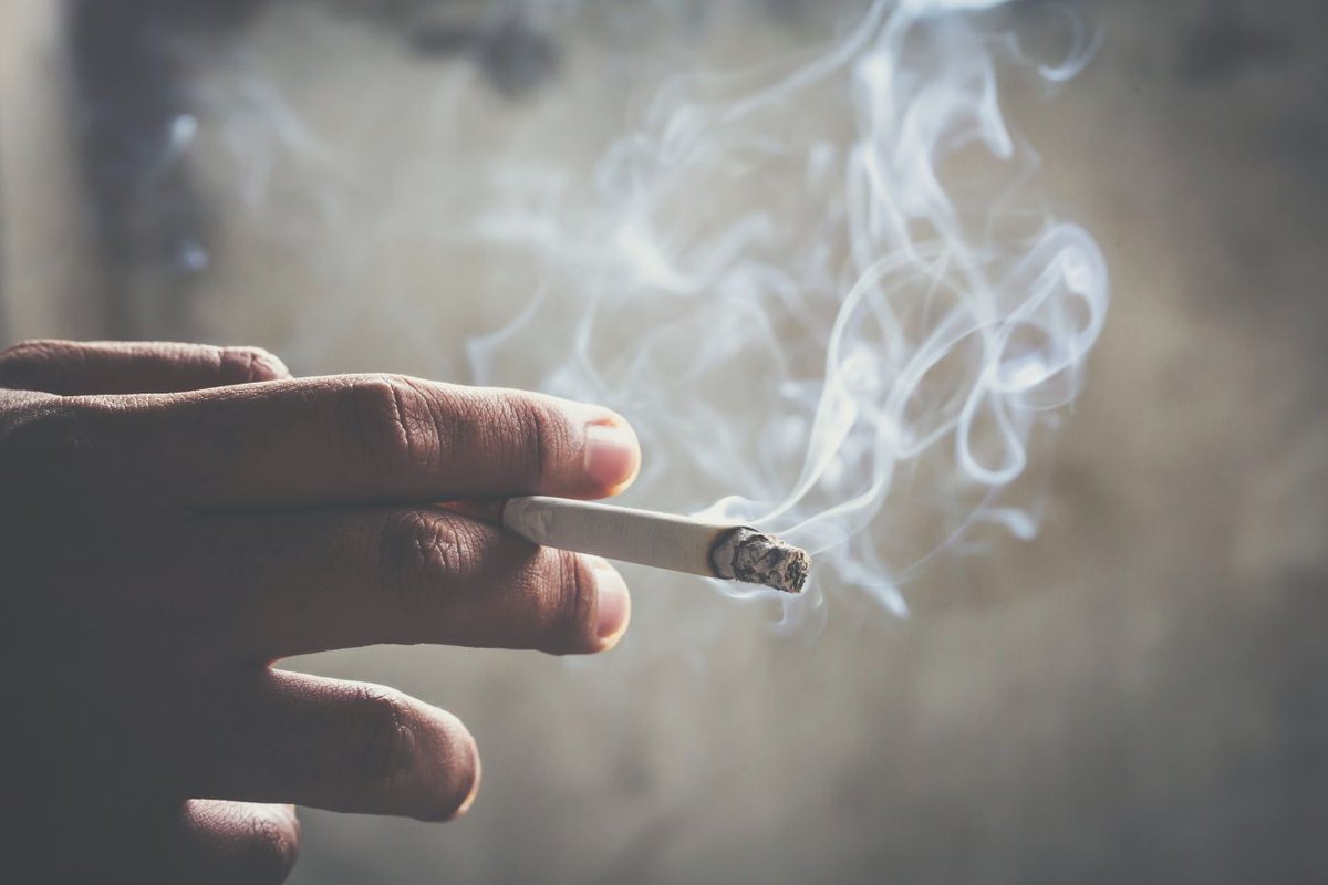 דו"'ח העישון של משרד הבריאות חושף: שיעור המעשנים בישראל גבוה בכ-30% מהממוצע העולמי, בחברה החרדית, 54% מתלמידי הישיבות התנסו בעישון; בקרב החברה הערבית, הנתונים גבוהים פי 2 מבחברה היהודית
<a href="/elyashivharel/">אלישיב הראל | Elyashiv Harel</a>