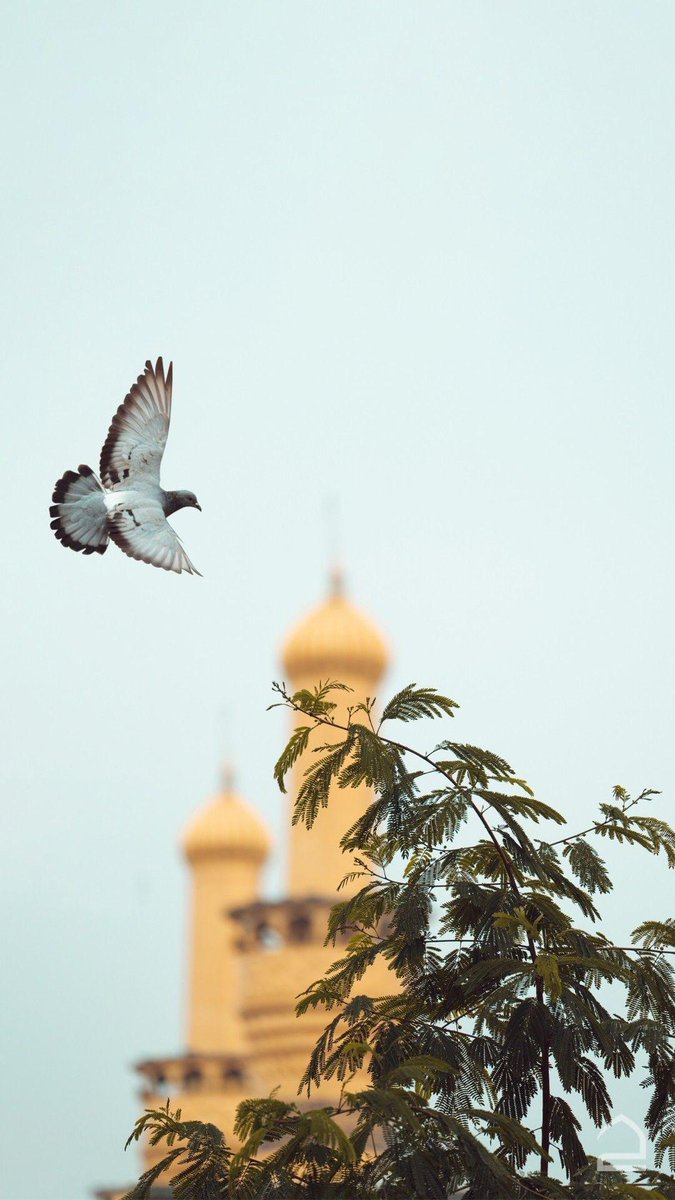 اللهم في هذا الصباح، افتح لنا أبواب رحمتك، واملأ يومنا سعادةً وطمأنينة، وحقق لنا ما نتمنى بكرمك يا كريم. 🤍

             صـــــباح الخيــــــــــر 🌾🌾