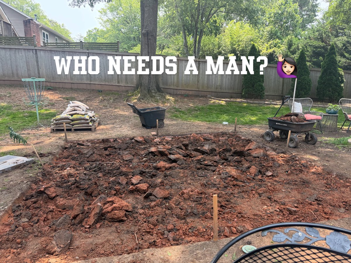 concernedmuffin's tweet image. Trying to boss bitch it out #buildingstuff