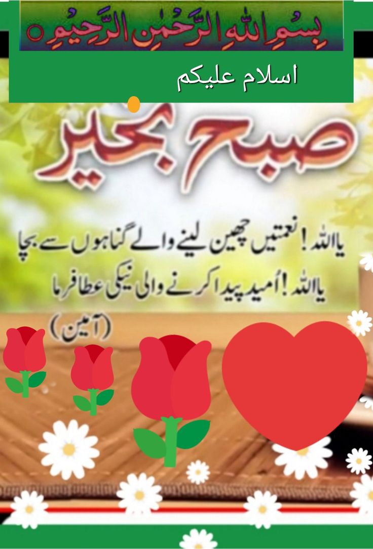 YASEEN (@y22ny) on Twitter photo #P_PTi 🔆 <a href="/As_t40/">𝐀 𝐒𝐚𝐭𝐭𝐚𝐫</a>
<a href="/NM1k_/">༺ 𒆜𝑵𝑬𝑬𝑵𝑨𝑯𒆜 ༻</a> <a href="/MNPTi1/">𝟏.𝟐𝐌👑⃟≛⃝𝔐𝔲𝔫𝔰𝔦𝔣🕊️⃟⋆ ابوسلم ≛⃝🔶</a>
<a href="/Y22NY/">YASEEN</a> <a href="/P_PTi3/">𝐌_𝐏𝐭𝐢 _🆇 𝐏𝐑𝐎𝐌𝐎𝐓𝐄𝐑</a>
<a href="/IAIJ_/">Genghis Khan</a>
<a href="/IAIJ1_/">Javed Iqbal</a>
<a href="/0sehr/">سحر ملک 🕊️🦋</a>
<a href="/skiii7i/">S khan</a>
<a href="/553ik/">🌺*𝙈𝙎 ೖ•💗ೖ𝙋𝙏𝙞.• '*🌺.ೖ</a>
<a href="/ik_553/">.⃝ ⃝ ⃝ ⃝ ⃝💛マスカン 𝐌𝐮𝐬𝐤𝐚𝐧💖. ⃝ ⃝ ⃝ ⃝ ⃝ ⃝💚</a>
<a href="/4mir_8/">Aamir Hayat Awan</a>
<a href="/B_Ali11/">✯𝓐𝓛𝓘 𝓚𝓗𝓐𝓝 𝓑𝓐𝓝𝓖𝓐𝓢𝓗✯🇵🇰🇺🇸 ⚔️🦌</a>
<a href="/Dni_40/">Daniyal</a>
<a href="/av_804/">DigitaL AaTanG VaDi 804</a>
<a href="/ARI2_1/">Ariana</a>
<a href="/TipuS1_/">Tipu Sultan ᴾᵃᵏᴾᵒʷᵉʳ</a>
<a href="/shz787/">🌟⭐️🌟🌟sʜᴀʜᴢᴀᴅ ᴍᴜɴɪʀ🌟⭐️🌟⭐️</a>
<a href="/Sprxzy2/">Umar PTI</a>
<a href="/cricfaan/">Noor kakar</a>
<a href="/pti__dimo/">black diamond 💎</a>
<a href="/zimal293/">🦋𝐑ᴀsʜɪᴅᴀʜ🦋</a>
<a href="/zubm9231/">ZUBAIR Muhammad</a>
<a href="/SKPTI804/">ꜱᴀʟᴍᴀɴ ᴘᴀᴛʜᴀɴ ᵀᵉᵃᵐˢᵒᵏ</a>
<a href="/Teller_23360/">چھوٹا کپتان 🕴️</a>
<a href="/CarloSportfan/">SportISmyLIFE ⚽⚾🏀🏐🏈🎾🎳🏏🏓⛳</a>
<a href="/yasirkhan7845/">Yasir Khan</a>
<a href="/KamranA17555180/">ISF Sindh Official 🇧🇫</a> #P_PTi 🔆 <a href="/As_t40/">𝐀 𝐒𝐚𝐭𝐭𝐚𝐫</a>
<a href="/NM1k_/">༺ 𒆜𝑵𝑬𝑬𝑵𝑨𝑯𒆜 ༻</a> <a href="/MNPTi1/">𝟏.𝟐𝐌👑⃟≛⃝𝔐𝔲𝔫𝔰𝔦𝔣🕊️⃟⋆ ابوسلم ≛⃝🔶</a>
<a href="/Y22NY/">YASEEN</a> <a href="/P_PTi3/">𝐌_𝐏𝐭𝐢 _🆇 𝐏𝐑𝐎𝐌𝐎𝐓𝐄𝐑</a>
<a href="/IAIJ_/">Genghis Khan</a>
<a href="/IAIJ1_/">Javed Iqbal</a>
<a href="/0sehr/">سحر ملک 🕊️🦋</a>
<a href="/skiii7i/">S khan</a>
<a href="/553ik/">🌺*𝙈𝙎 ೖ•💗ೖ𝙋𝙏𝙞.• '*🌺.ೖ</a>
<a href="/ik_553/">.⃝ ⃝ ⃝ ⃝ ⃝💛マスカン 𝐌𝐮𝐬𝐤𝐚𝐧💖. ⃝ ⃝ ⃝ ⃝ ⃝ ⃝💚</a>
<a href="/4mir_8/">Aamir Hayat Awan</a>
<a href="/B_Ali11/">✯𝓐𝓛𝓘 𝓚𝓗𝓐𝓝 𝓑𝓐𝓝𝓖𝓐𝓢𝓗✯🇵🇰🇺🇸 ⚔️🦌</a>
<a href="/Dni_40/">Daniyal</a>
<a href="/av_804/">DigitaL AaTanG VaDi 804</a>
<a href="/ARI2_1/">Ariana</a>
<a href="/TipuS1_/">Tipu Sultan ᴾᵃᵏᴾᵒʷᵉʳ</a>
<a href="/shz787/">🌟⭐️🌟🌟sʜᴀʜᴢᴀᴅ ᴍᴜɴɪʀ🌟⭐️🌟⭐️</a>
<a href="/Sprxzy2/">Umar PTI</a>
<a href="/cricfaan/">Noor kakar</a>
<a href="/pti__dimo/">black diamond 💎</a>
<a href="/zimal293/">🦋𝐑ᴀsʜɪᴅᴀʜ🦋</a>
<a href="/zubm9231/">ZUBAIR Muhammad</a>
<a href="/SKPTI804/">ꜱᴀʟᴍᴀɴ ᴘᴀᴛʜᴀɴ ᵀᵉᵃᵐˢᵒᵏ</a>
<a href="/Teller_23360/">چھوٹا کپتان 🕴️</a>
<a href="/CarloSportfan/">SportISmyLIFE ⚽⚾🏀🏐🏈🎾🎳🏏🏓⛳</a>
<a href="/yasirkhan7845/">Yasir Khan</a>
<a href="/KamranA17555180/">ISF Sindh Official 🇧🇫</a>