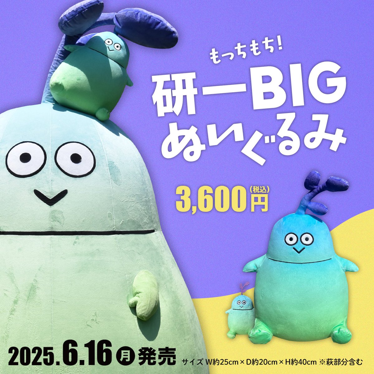 お待たせしました‼️ #研一BIGぬい 発売決定✨ ＼＼ もちもちを超えた