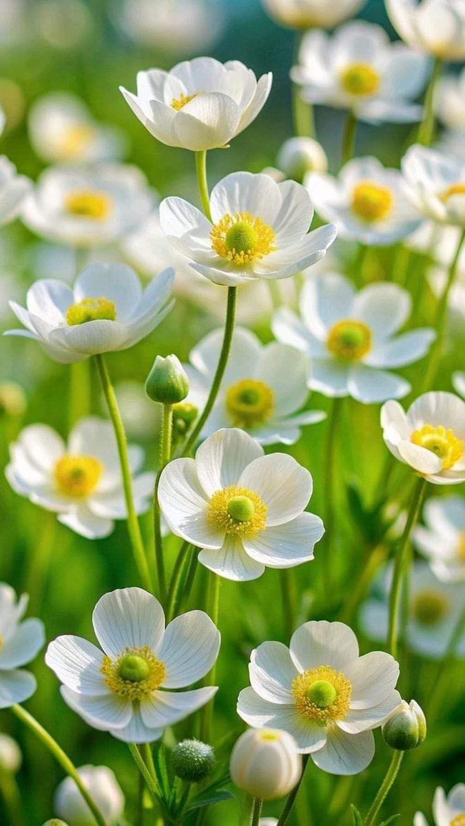 🌟⭐️🌟🌟sʜᴀʜᴢᴀᴅ ᴍᴜɴɪʀ🌟⭐️🌟⭐️ (@shz787) on Twitter photo #P_PTi💟 <a href="/As_t40/">𝐀 𝐒𝐚𝐭𝐭𝐚𝐫</a>
<a href="/NM1k_/">༺ 𒆜𝑵𝑬𝑬𝑵𝑨𝑯𒆜 ༻</a> <a href="/MNPTi1/">𝟏.𝟐𝐌👑⃟≛⃝𝔐𝔲𝔫𝔰𝔦𝔣🕊️⃟⋆ ابوسلم ≛⃝🔶</a>
<a href="/Y22NY/">YASEEN</a> <a href="/P_PTi3/">𝐌_𝐏𝐭𝐢 _🆇 𝐏𝐑𝐎𝐌𝐎𝐓𝐄𝐑</a>
<a href="/IAIJ_/">Genghis Khan</a> <a href="/zimal293/">🦋𝐑ᴀsʜɪᴅᴀʜ🦋</a>
<a href="/IAIJ1_/">Javed Iqbal</a>
<a href="/0sehr/">سحر ملک 🕊️🦋</a>
<a href="/skiii7i/">S khan</a>
<a href="/553ik/">🌺*𝙈𝙎 ೖ•💗ೖ𝙋𝙏𝙞.• '*🌺.ೖ</a>
<a href="/ik_553/">.⃝ ⃝ ⃝ ⃝ ⃝💛マスカン 𝐌𝐮𝐬𝐤𝐚𝐧💖. ⃝ ⃝ ⃝ ⃝ ⃝ ⃝💚</a>
<a href="/4mir_8/">Aamir Hayat Awan</a>
<a href="/B_Ali11/">✯𝓐𝓛𝓘 𝓚𝓗𝓐𝓝 𝓑𝓐𝓝𝓖𝓐𝓢𝓗✯🇵🇰🇺🇸 ⚔️🦌</a>
<a href="/Dni_40/">Daniyal</a>
<a href="/av_804/">DigitaL AaTanG VaDi 804</a>
<a href="/ARI2_1/">Ariana</a>
<a href="/TipuS1_/">Tipu Sultan ᴾᵃᵏᴾᵒʷᵉʳ</a>
<a href="/shz787/">🌟⭐️🌟🌟sʜᴀʜᴢᴀᴅ ᴍᴜɴɪʀ🌟⭐️🌟⭐️</a>
<a href="/Sprxzy2/">Umar PTI</a>
<a href="/cricfaan/">Noor kakar</a>
<a href="/pti__dimo/">black diamond 💎</a>
<a href="/zubm9231/">ZUBAIR Muhammad</a>
<a href="/SKPTI804/">ꜱᴀʟᴍᴀɴ ᴘᴀᴛʜᴀɴ ᵀᵉᵃᵐˢᵒᵏ</a>
<a href="/Teller_23360/">چھوٹا کپتان 🕴️</a>
<a href="/CarloSportfan/">SportISmyLIFE ⚽⚾🏀🏐🏈🎾🎳🏏🏓⛳</a>
<a href="/yasirkhan7845/">Yasir Khan</a>
<a href="/KamranA17555180/">ISF Sindh Official 🇧🇫</a> #P_PTi💟 <a href="/As_t40/">𝐀 𝐒𝐚𝐭𝐭𝐚𝐫</a>
<a href="/NM1k_/">༺ 𒆜𝑵𝑬𝑬𝑵𝑨𝑯𒆜 ༻</a> <a href="/MNPTi1/">𝟏.𝟐𝐌👑⃟≛⃝𝔐𝔲𝔫𝔰𝔦𝔣🕊️⃟⋆ ابوسلم ≛⃝🔶</a>
<a href="/Y22NY/">YASEEN</a> <a href="/P_PTi3/">𝐌_𝐏𝐭𝐢 _🆇 𝐏𝐑𝐎𝐌𝐎𝐓𝐄𝐑</a>
<a href="/IAIJ_/">Genghis Khan</a> <a href="/zimal293/">🦋𝐑ᴀsʜɪᴅᴀʜ🦋</a>
<a href="/IAIJ1_/">Javed Iqbal</a>
<a href="/0sehr/">سحر ملک 🕊️🦋</a>
<a href="/skiii7i/">S khan</a>
<a href="/553ik/">🌺*𝙈𝙎 ೖ•💗ೖ𝙋𝙏𝙞.• '*🌺.ೖ</a>
<a href="/ik_553/">.⃝ ⃝ ⃝ ⃝ ⃝💛マスカン 𝐌𝐮𝐬𝐤𝐚𝐧💖. ⃝ ⃝ ⃝ ⃝ ⃝ ⃝💚</a>
<a href="/4mir_8/">Aamir Hayat Awan</a>
<a href="/B_Ali11/">✯𝓐𝓛𝓘 𝓚𝓗𝓐𝓝 𝓑𝓐𝓝𝓖𝓐𝓢𝓗✯🇵🇰🇺🇸 ⚔️🦌</a>
<a href="/Dni_40/">Daniyal</a>
<a href="/av_804/">DigitaL AaTanG VaDi 804</a>
<a href="/ARI2_1/">Ariana</a>
<a href="/TipuS1_/">Tipu Sultan ᴾᵃᵏᴾᵒʷᵉʳ</a>
<a href="/shz787/">🌟⭐️🌟🌟sʜᴀʜᴢᴀᴅ ᴍᴜɴɪʀ🌟⭐️🌟⭐️</a>
<a href="/Sprxzy2/">Umar PTI</a>
<a href="/cricfaan/">Noor kakar</a>
<a href="/pti__dimo/">black diamond 💎</a>
<a href="/zubm9231/">ZUBAIR Muhammad</a>
<a href="/SKPTI804/">ꜱᴀʟᴍᴀɴ ᴘᴀᴛʜᴀɴ ᵀᵉᵃᵐˢᵒᵏ</a>
<a href="/Teller_23360/">چھوٹا کپتان 🕴️</a>
<a href="/CarloSportfan/">SportISmyLIFE ⚽⚾🏀🏐🏈🎾🎳🏏🏓⛳</a>
<a href="/yasirkhan7845/">Yasir Khan</a>
<a href="/KamranA17555180/">ISF Sindh Official 🇧🇫</a>