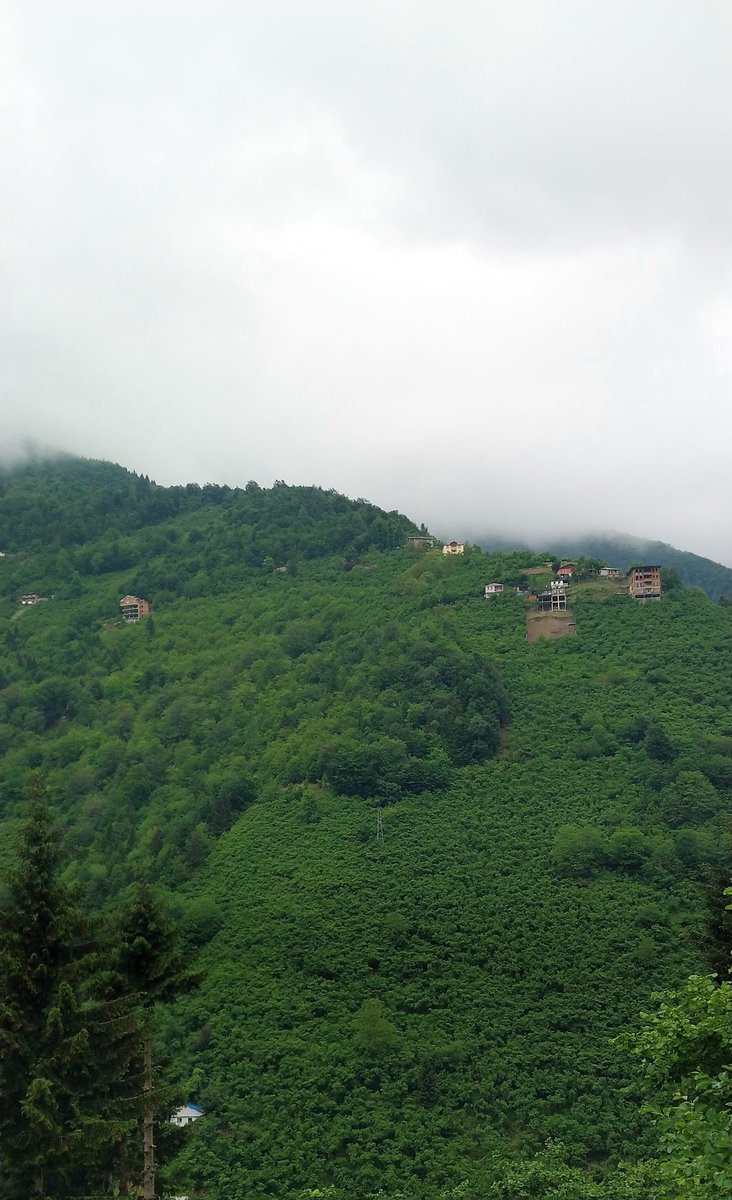 🇹🇷🇹🇷🇹🇷ES SELAMUN ALEYKÜM 🇹🇷🇹🇷
🇹🇷🇹🇷🇹🇷Hayırlı sabahlar 
🇹🇷🇹🇷🇹🇷🇹🇷Hayırlı günler 
🇹🇷🇹🇷🇹🇷ALLAH HIN RAHMETİ 
🇹🇷🇹🇷BEREKETİ ÜZERİMİZE OLSUN