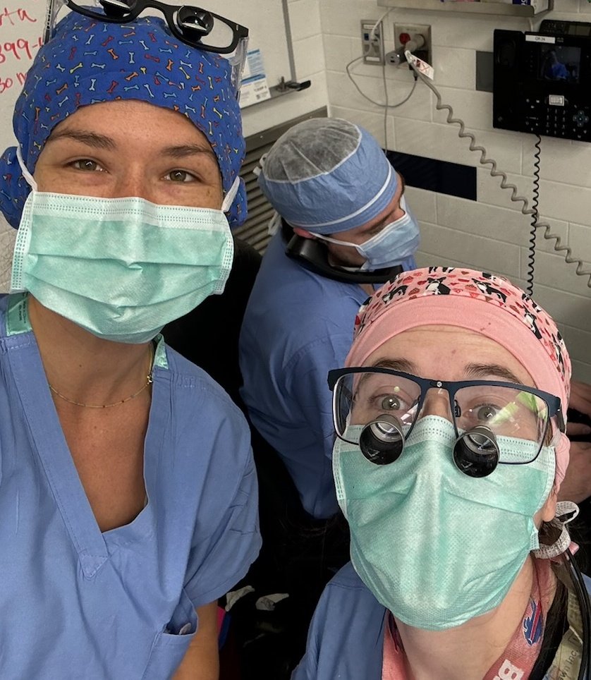 It was an exciting week filled with discovery from Dr. Andrie and dynamic operating duos (our chiefs Drs. Marrone and Dotiwala)! Can't wait to see what adventures lie ahead with the addition of  Dr. Kahng and Dr. McDonald (our incoming intern and vascular surgery fellow)🩺