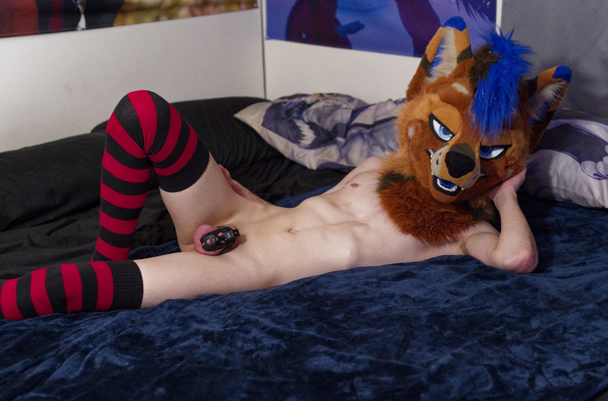 Know how to make a wolf whimper?