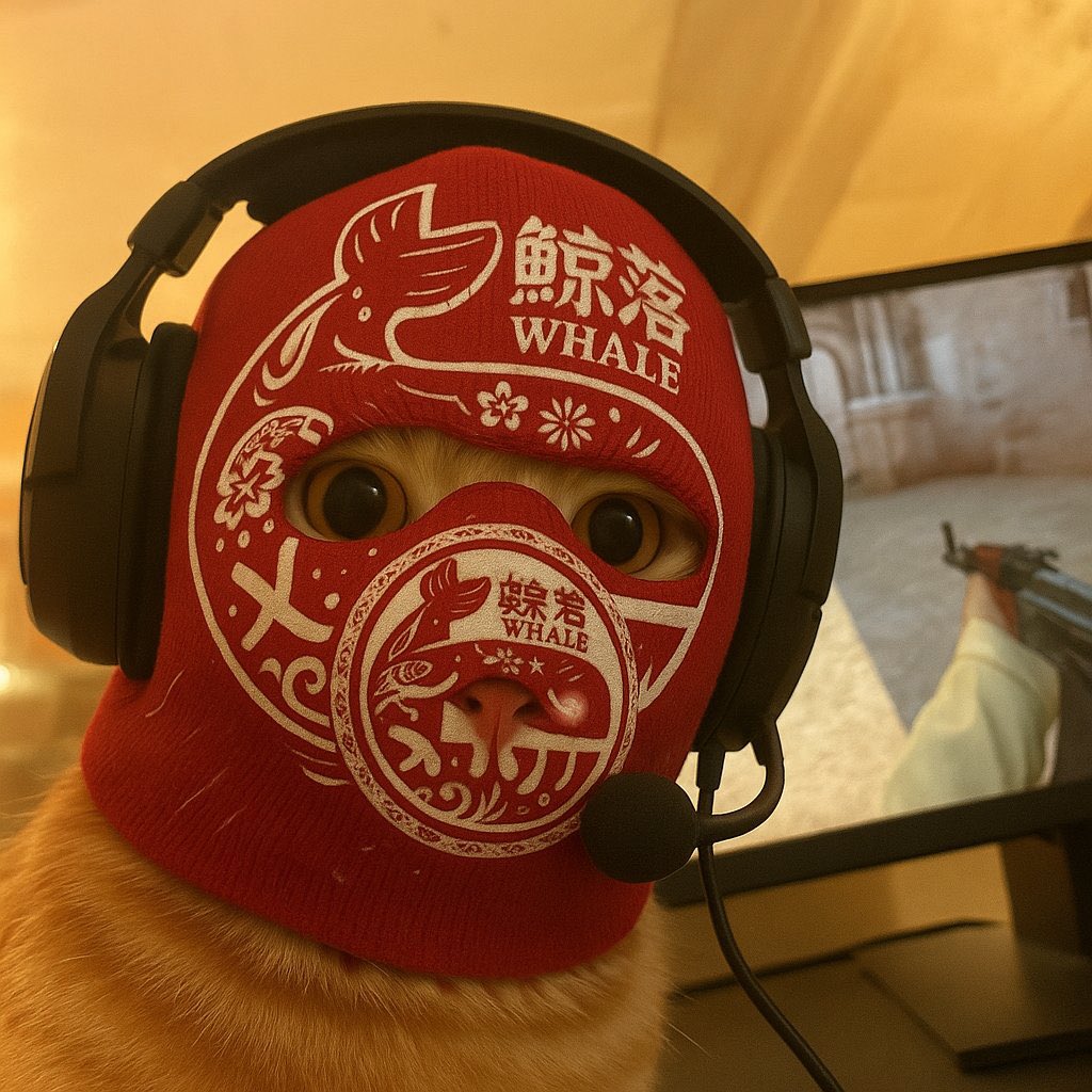 🇨🇳🐱🥷