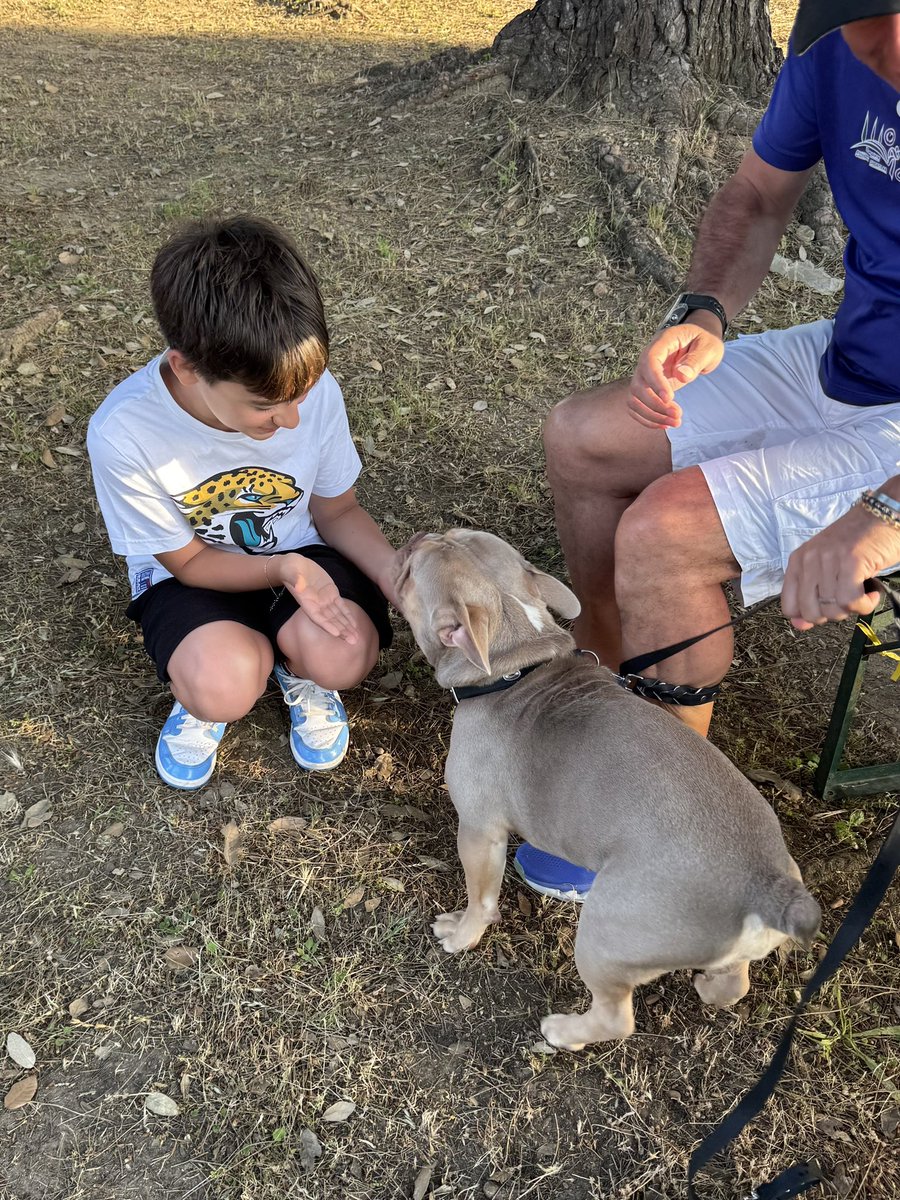 AAHamstra's tweet photo. Dozer maakt vriendjes op Elba! 🥰 🇮🇹 #frenchie #fransebulldog #bulldog #BulldogLovers #BulldozerAction #dog #hond #vriend #friends https://t.co/KQVn7Hu3t8