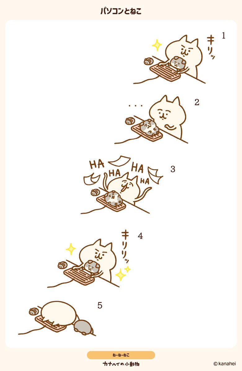 kanahei_animals's tweet image. 💻パソコンとねこ🐈
#ねーねーねこ  #なーなーねこ
#カナヘイの小動物