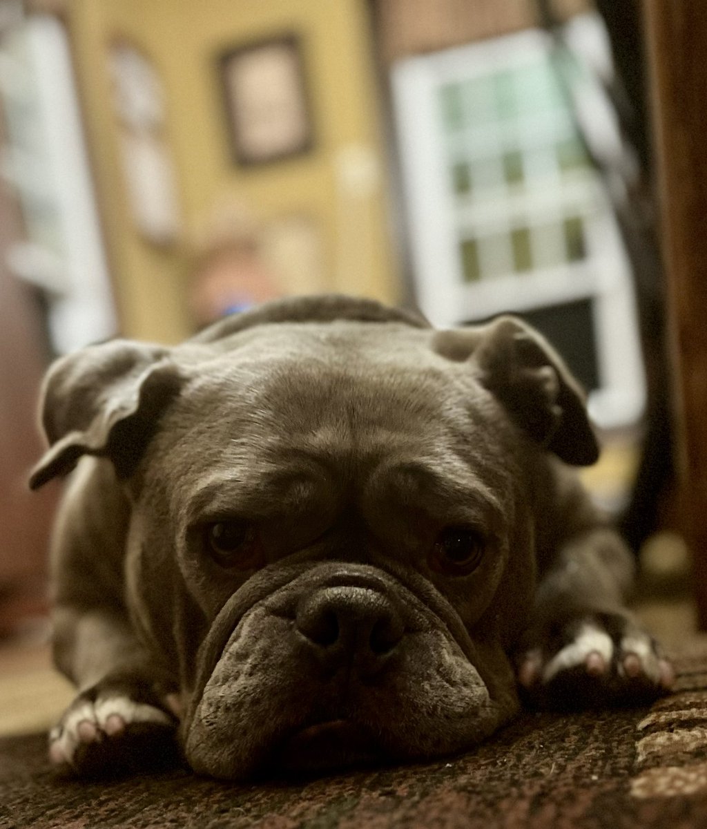 KingTuckerC's tweet image. Good night, friends. Sleep well. See you tomorrow! 😴💤❤️🤗