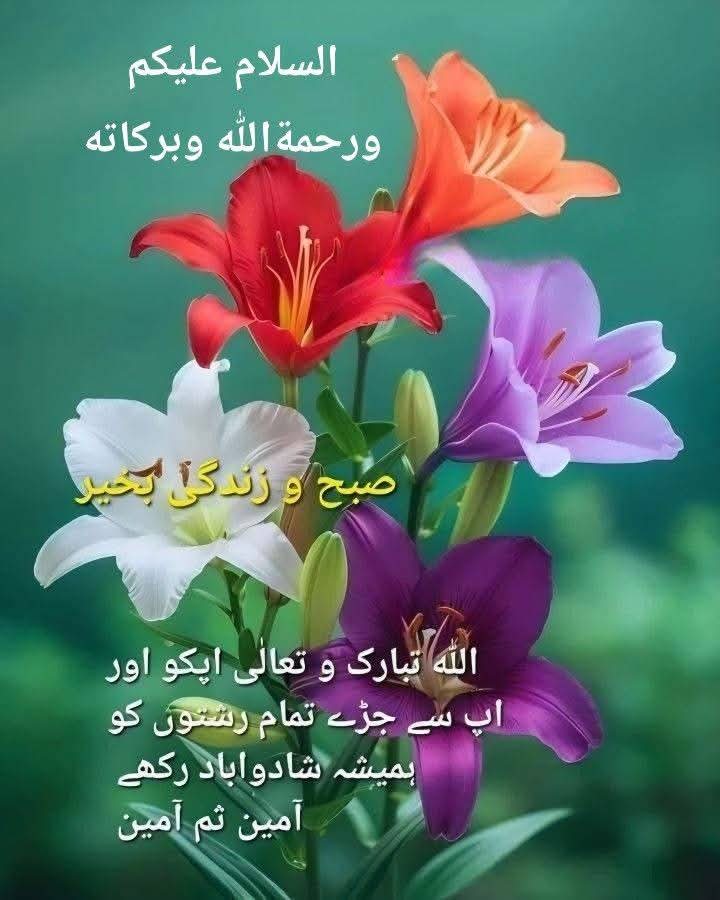 Malik Waqas Shafi 🇵🇰🇵🇸 (@waqaswaqa47075) on Twitter photo 