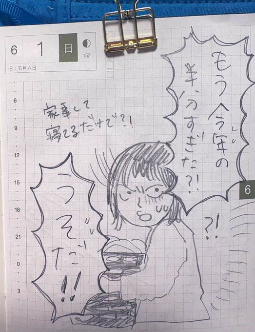 日記 めっちゃ寝てる 過去最高体重 