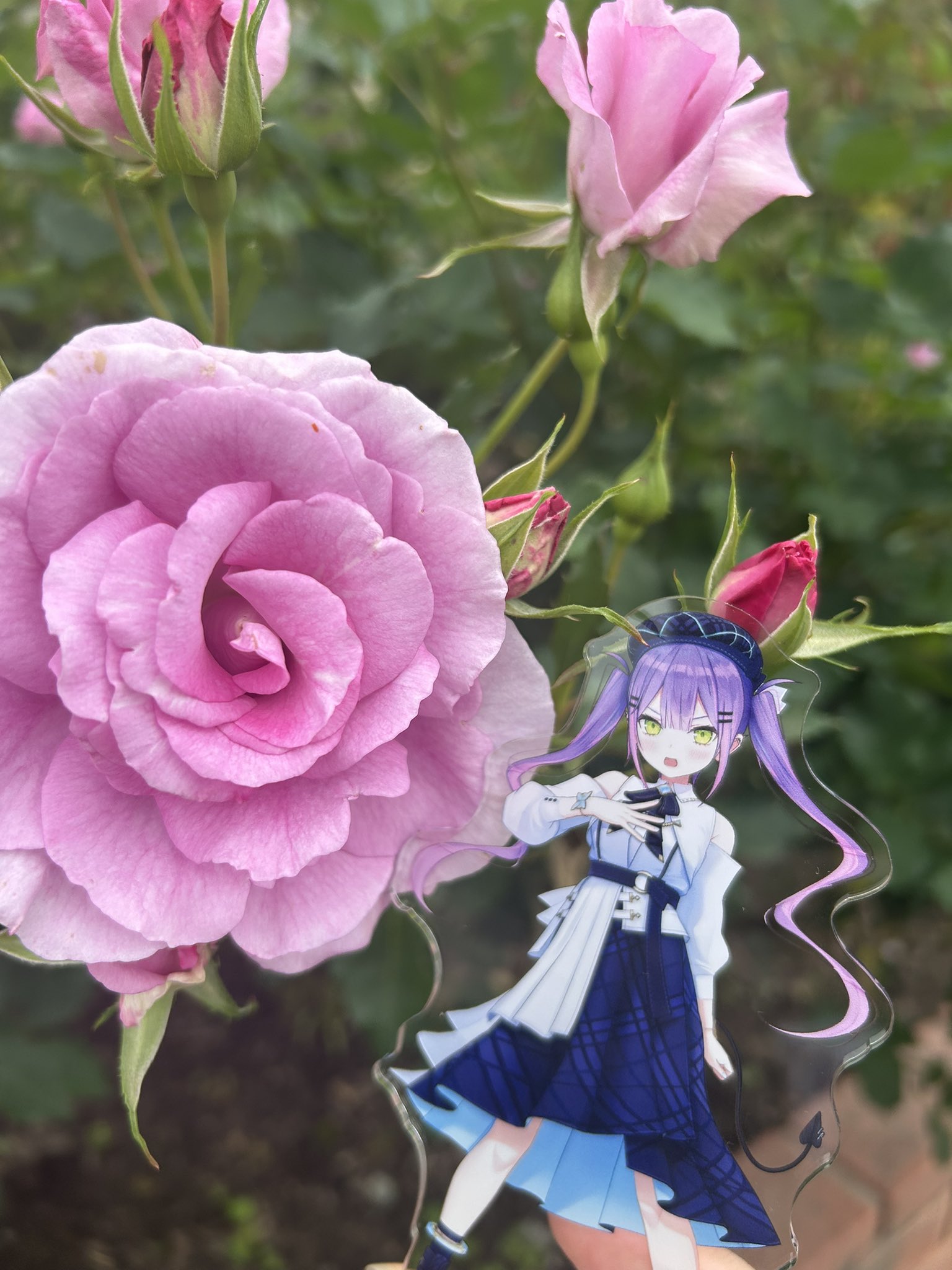 さくらもち様 金属ピアス4点❤️【お取置き8/10まで❤️】 楽天市場】ボディピアス 軟骨ピアス 16G さくらんぼ ピアス