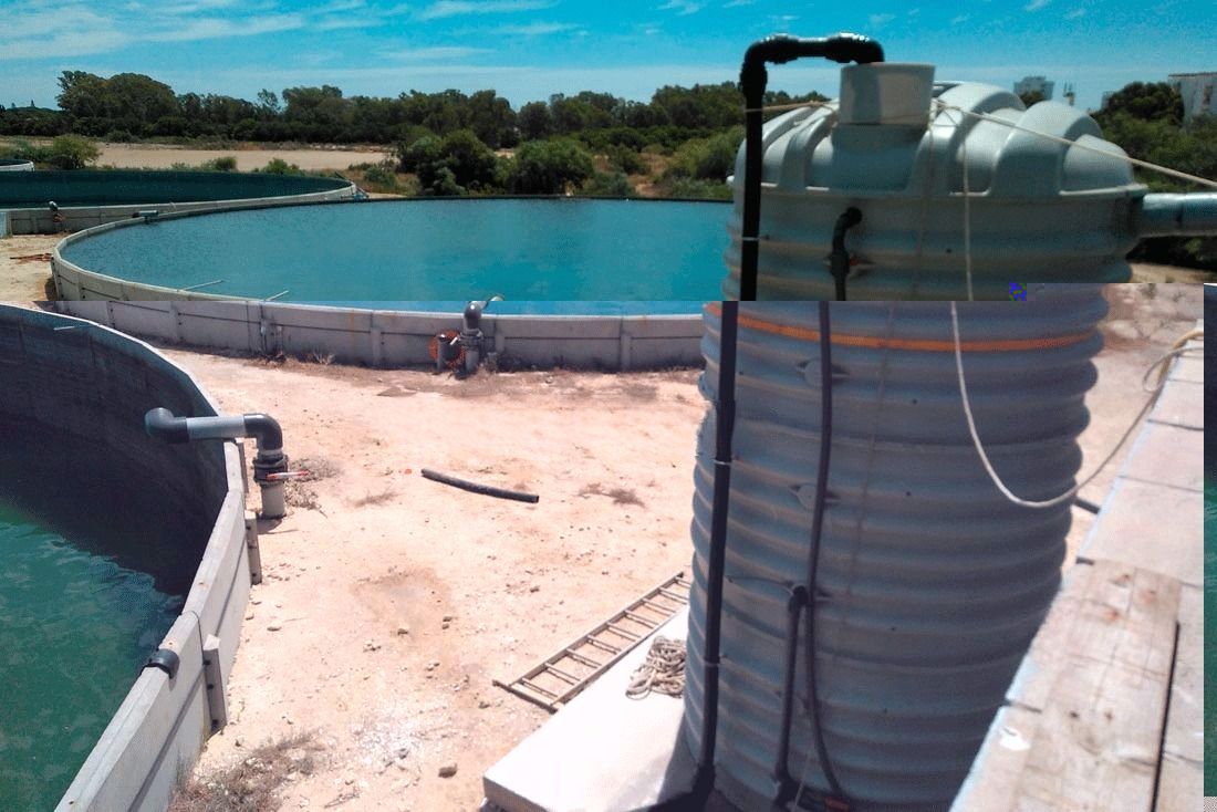 OXYTRADINGLYON's tweet image. Ozone in algae treatment oxytrading.co.uk/ozone-generato… #ozonetechnology #algae #watertreatment #sanification #ozonegenerator #greentech #ecofriendly #fungicial #wastewater @oxytradinglyon