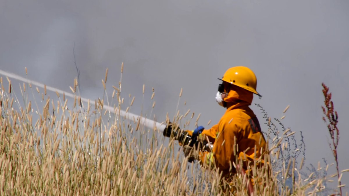 Brian Wilson (@ietsystems) on Twitter photo Thousands of CFA Firefighters, many who battled the blazes last summer WILL NOT BE EXEMPT from the <a href="/VicGovAu/">Victorian Government</a> Emergency Services Tax.
Criteria was quietly Gazetted late last Friday requiring at least 1 year's service. Any firefighter with an outstanding or late Council rates Thousands of CFA Firefighters, many who battled the blazes last summer WILL NOT BE EXEMPT from the <a href="/VicGovAu/">Victorian Government</a> Emergency Services Tax.
Criteria was quietly Gazetted late last Friday requiring at least 1 year's service. Any firefighter with an outstanding or late Council rates