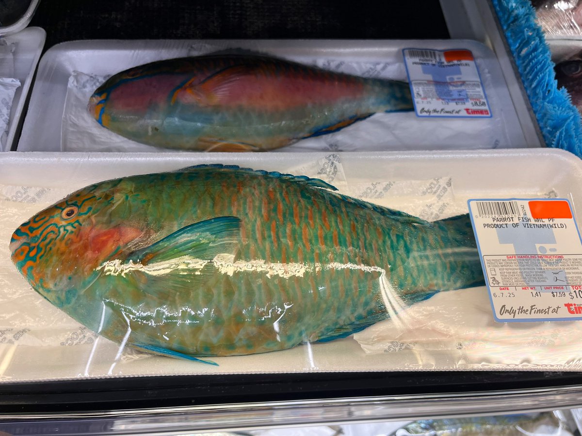 ハワイのスーパーに売ってる魚。

衝撃すぎて写真撮っちゃった🐠🐠🐠