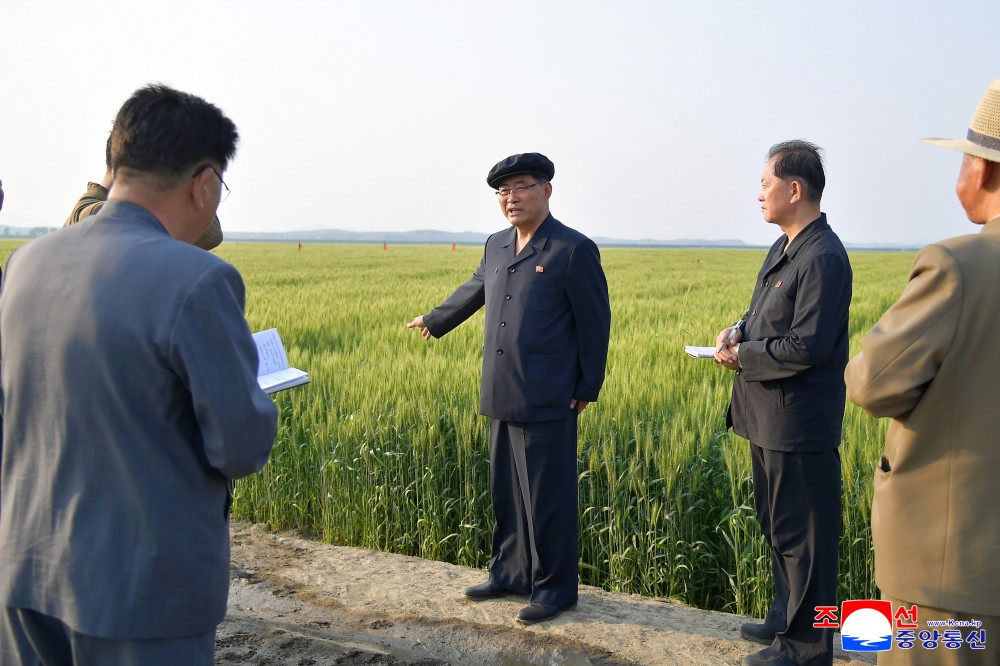 kfaspain.es/2025/06/primer…